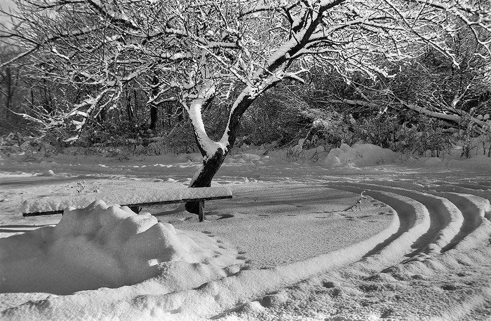 Фотографія Зимові контрасти-2 / Володимир Сорока / photographers.ua