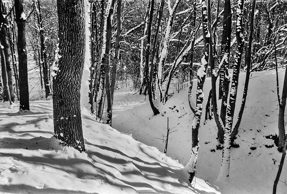 Фотографія Зимові контрасти... / Володимир Сорока / photographers.ua