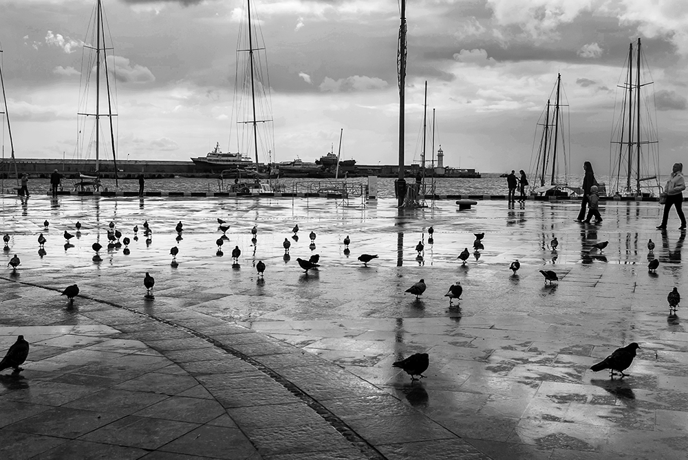 Фотографія У Ялті не сезон... / Володимир Сорока / photographers.ua