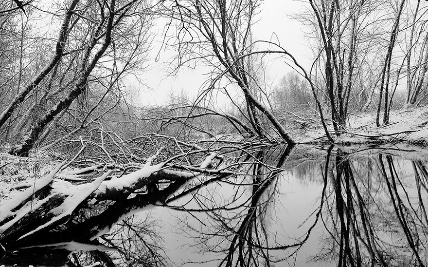 Фотографія черно-біла зима... / Володимир Сорока / photographers.ua
