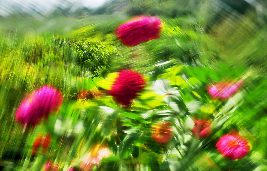 Фотографія спекотний липень...майори... / Володимир Сорока / photographers.ua