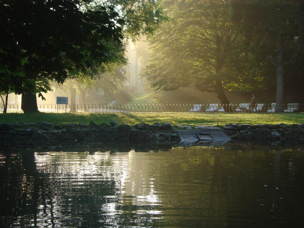 Фотографія Стрийський парк у Львові. Світанок. / Maria Sydir / photographers.ua