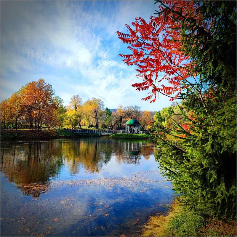Фотографія Яскравість природи пробуджує бажання творити!! / Олена Смерека / photographers.ua
