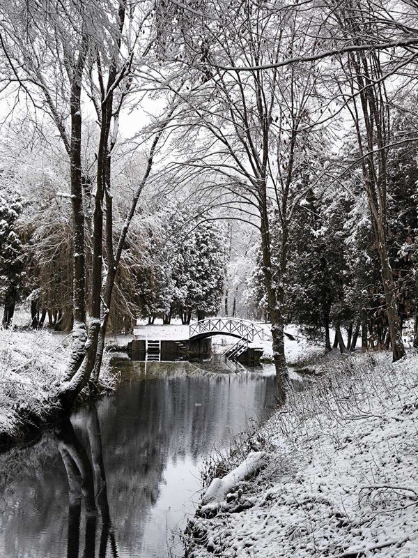 Фотографія Зимовий Рай / Олена Смерека / photographers.ua