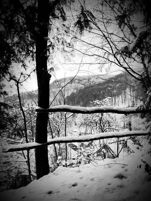 Фотографія Віконечко зимового Раю. / Олена Смерека / photographers.ua