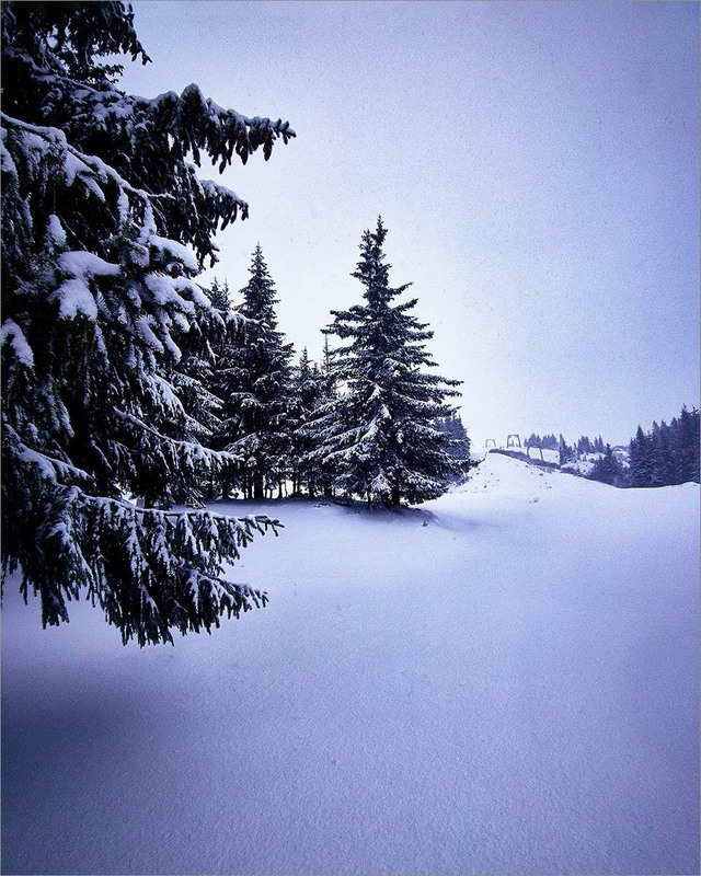 Фотографія Казкова зима на Драгобраті. / Олена Смерека / photographers.ua