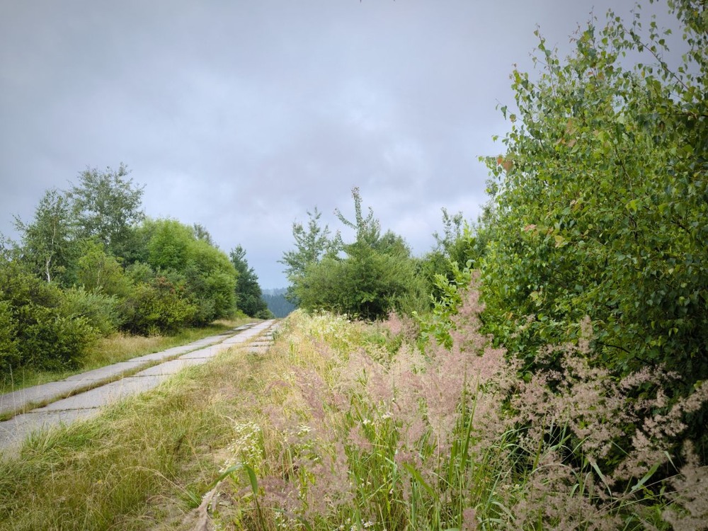 Фотографія Настрій похмурий. / Олена Смерека / photographers.ua