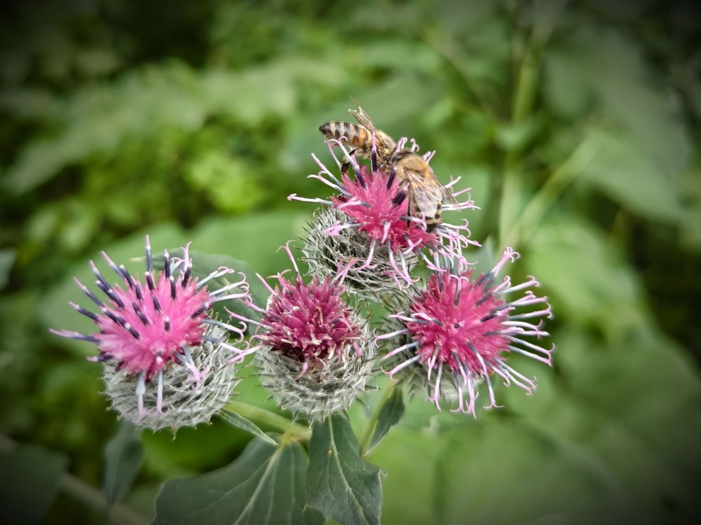 Фотографія Дві подружки. Група підтримки. / Олена Смерека / photographers.ua