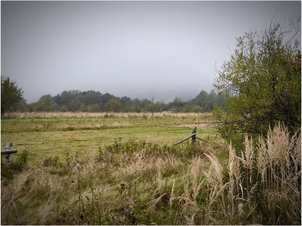Фотографія Туман, не за горами! Прикарпаття. / Олена Смерека / photographers.ua