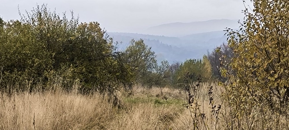 Фотографія Там за туманами... / Олена Смерека / photographers.ua