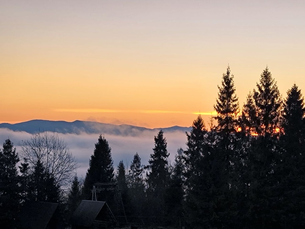 Фотографія Світло, що тримає! / Олена Смерека / photographers.ua