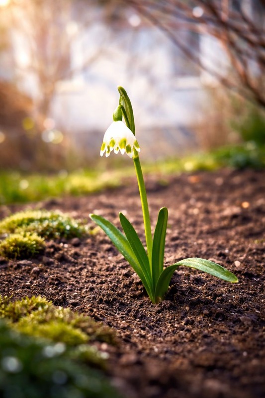 Фотографія "Жити, незважаючи" / Олена Смерека / photographers.ua