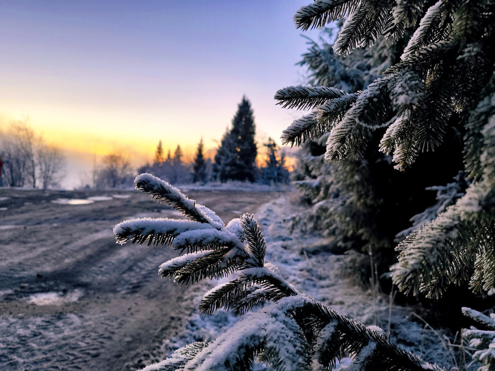 Фотографія Дихання тиші. / Олена Смерека / photographers.ua