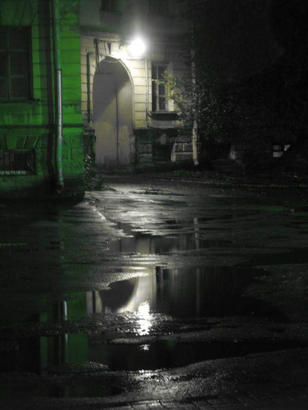 Фотографія Путь домой / Анатолий Ляшенко / photographers.ua