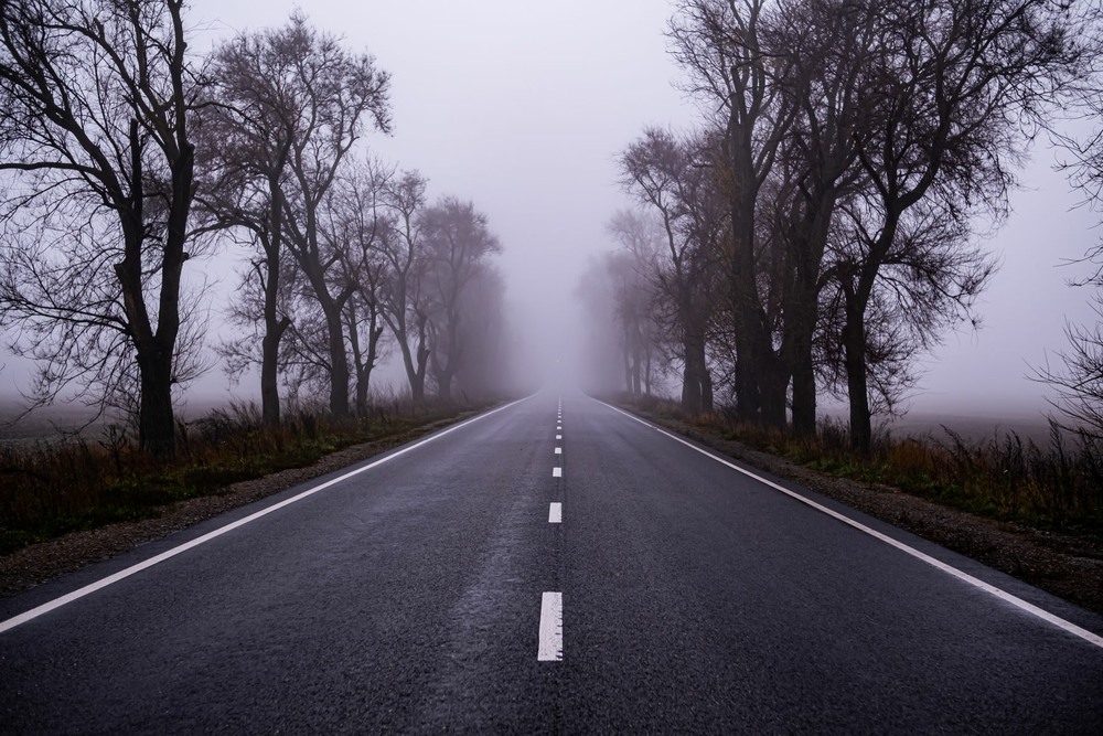 Фотографія осіння подорож у тумані / Olexander Sementsov / photographers.ua