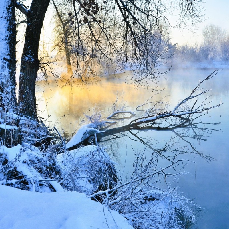 Фотографія On the River / Olena Voynich / photographers.ua