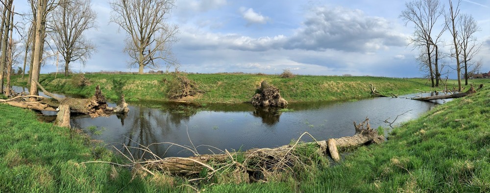 Фотографія Spring Landscape / Olena Voynich / photographers.ua