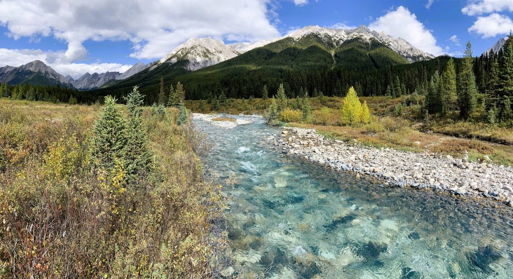 Фотографія Mountain River / Olena Voynich / photographers.ua