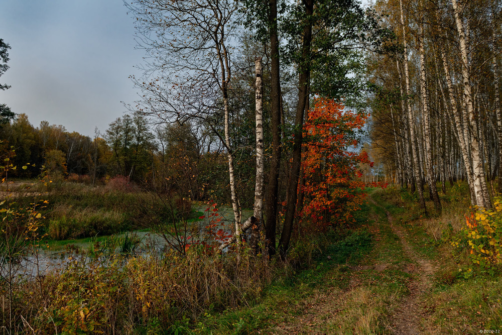 Фотографія Жовтень. Західна дорога, поруч з річкою.. / AlexPP / photographers.ua