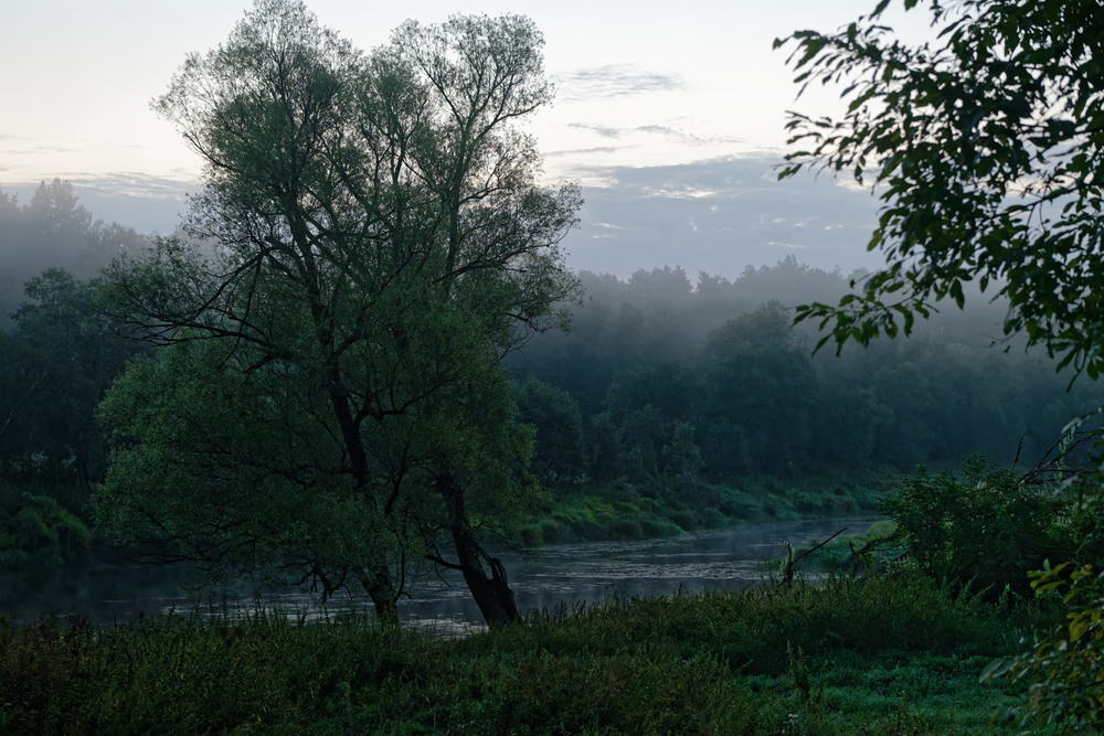 Фотографія Чотири. Ніч йде з річки.. / AlexPP / photographers.ua