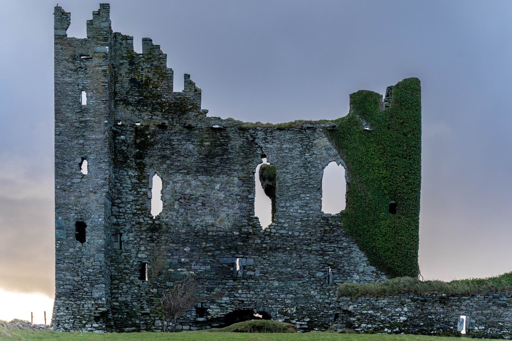 Фотографія Він дивиться на тебе / Светлана Головнёва / photographers.ua