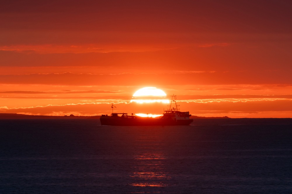Фотографія Цінний вантаж / Светлана Головнёва / photographers.ua