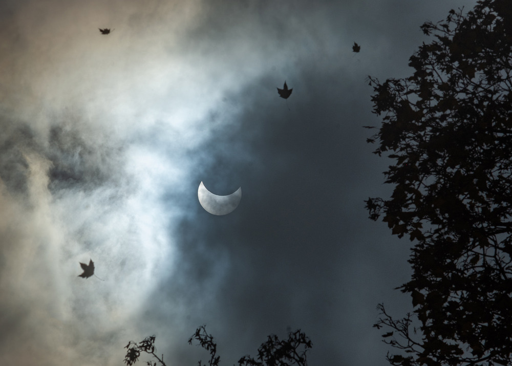 Фотографія Часткове сонячне затемнення, 25 жовтня 2022 / Ірина Зорг / photographers.ua