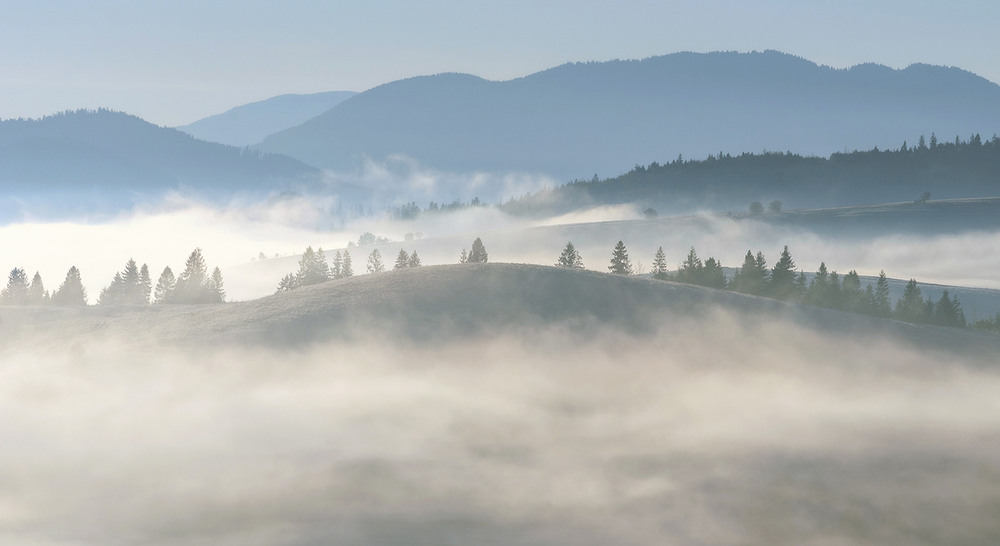 Фотографія Ранкові тумани / Володимир Циба / photographers.ua