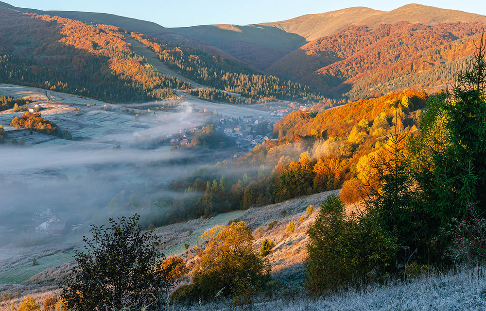 Фотографія Ранній приморозок / Володимир Циба / photographers.ua