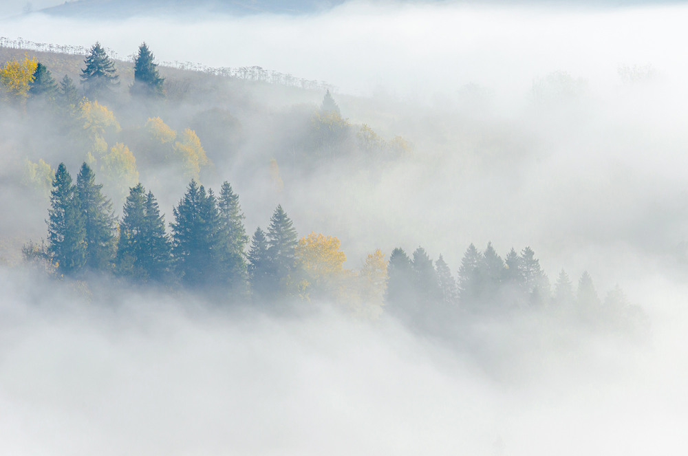 Фотографія Мла встає з невидимих долин / Володимир Циба / photographers.ua