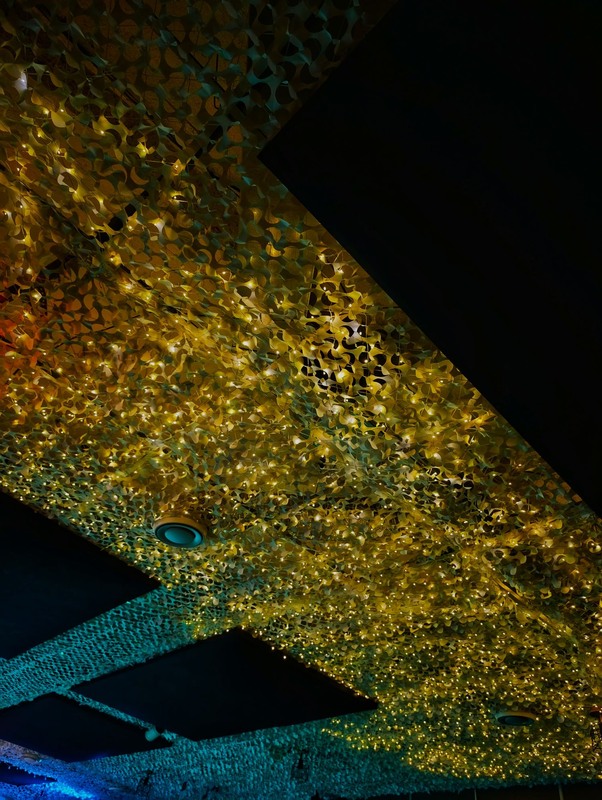 Фотографія Погляд вгору / Світлана / photographers.ua