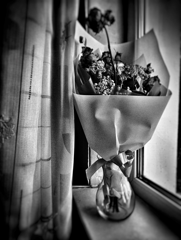 Фотографія Вікно. / Світлана / photographers.ua