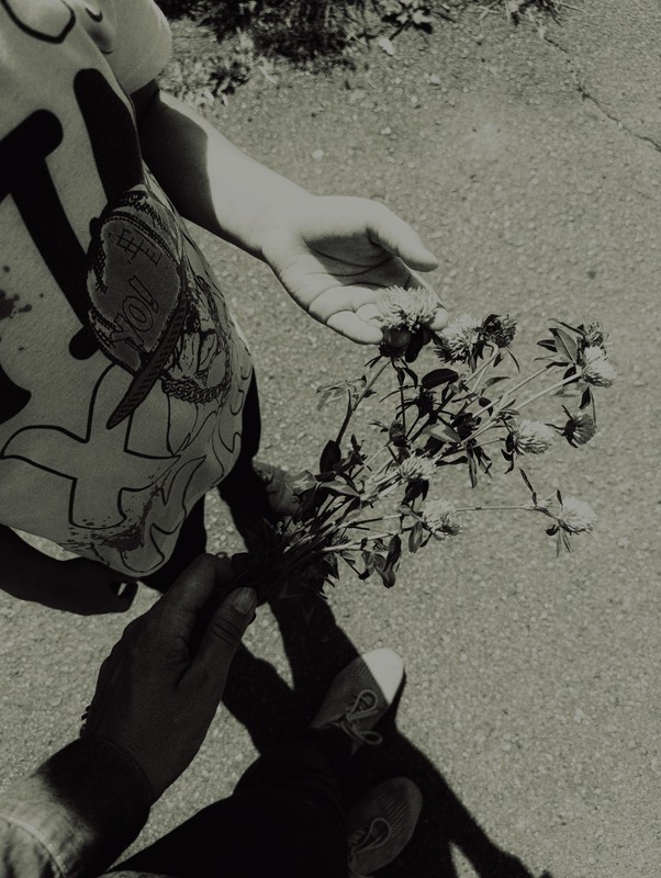 Фотографія Квіти / Світлана / photographers.ua