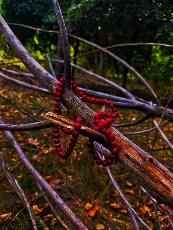 Фотографія Намисто / Світлана / photographers.ua