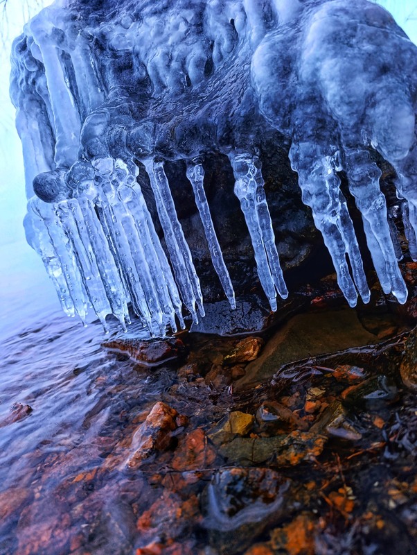 Фотографія Бурульки / Світлана / photographers.ua