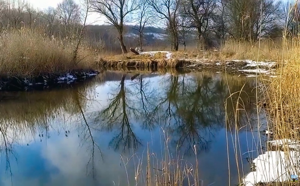 Фотографія Речка / Pavel / photographers.ua