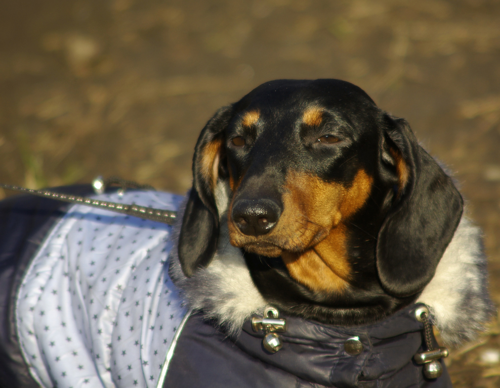 Фотографія Взляд / Vysher / photographers.ua