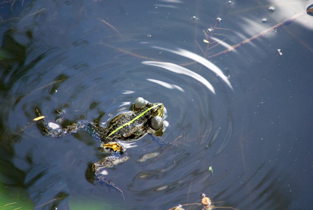 Фотографія скоро будет дождь / Vysher / photographers.ua