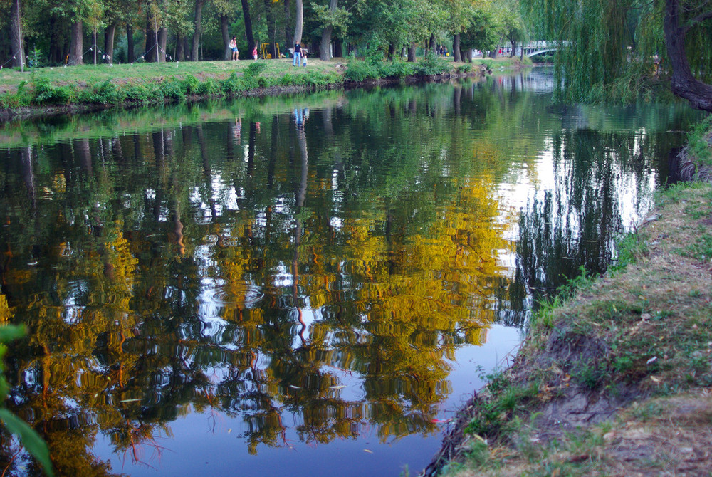 Фотографія ******** / Vysher / photographers.ua