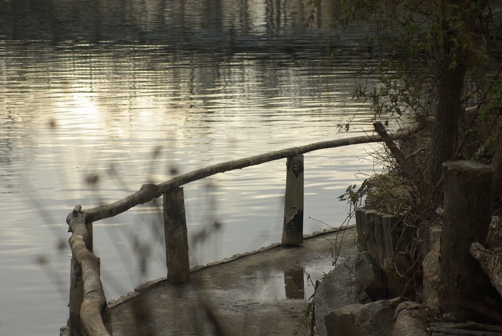 Фотографія Тихое место / Vysher / photographers.ua