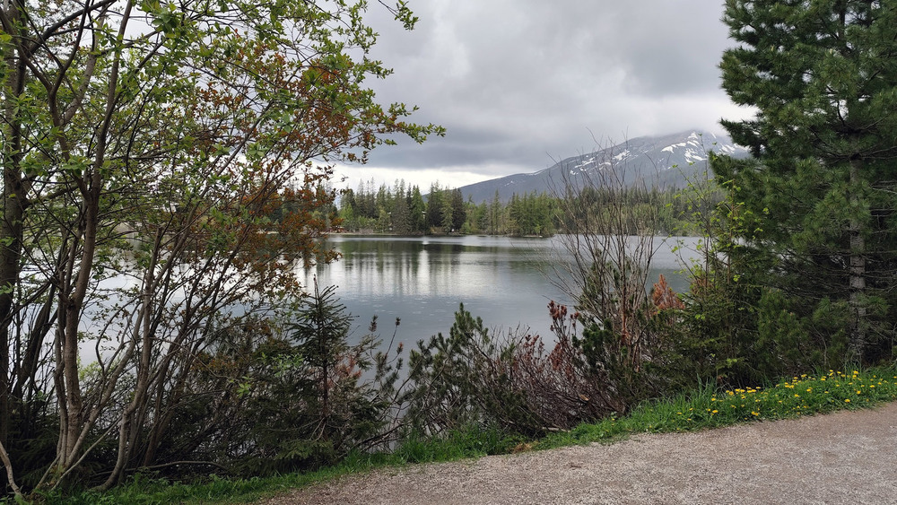 Фотографія **** / Vysher / photographers.ua