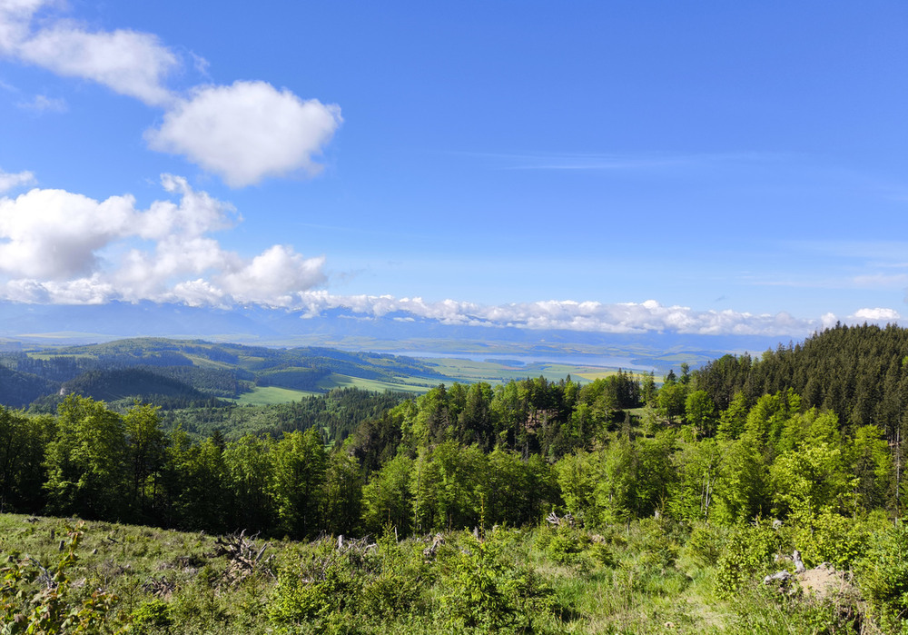 Фотографія ******** / Vysher / photographers.ua