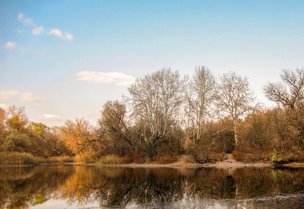 Фотографія Мальовничі місця о.Хортиця / Pavel / photographers.ua