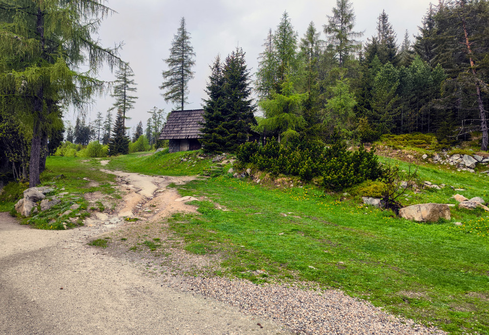 Фотографія Избушка / Vysher / photographers.ua