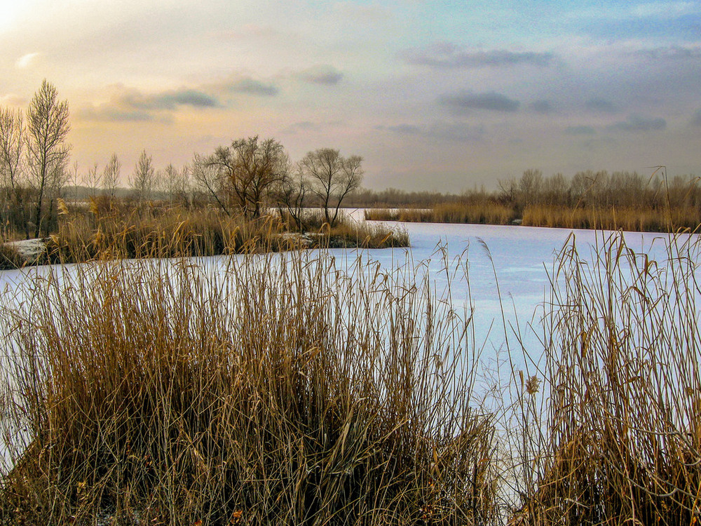 Фотографія Запорізькі затоки в зимку / Vysher / photographers.ua