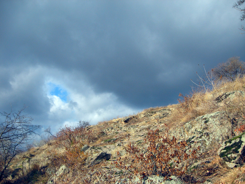 Фотографія Буря! Скоро грянет буря! / Vysher / photographers.ua