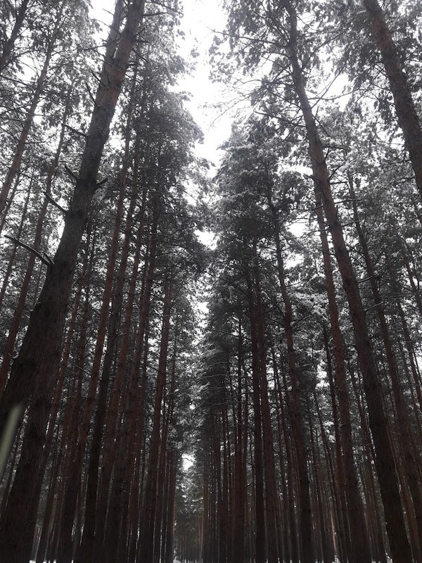 Фотографія Окрестности / Артём Лютый / photographers.ua