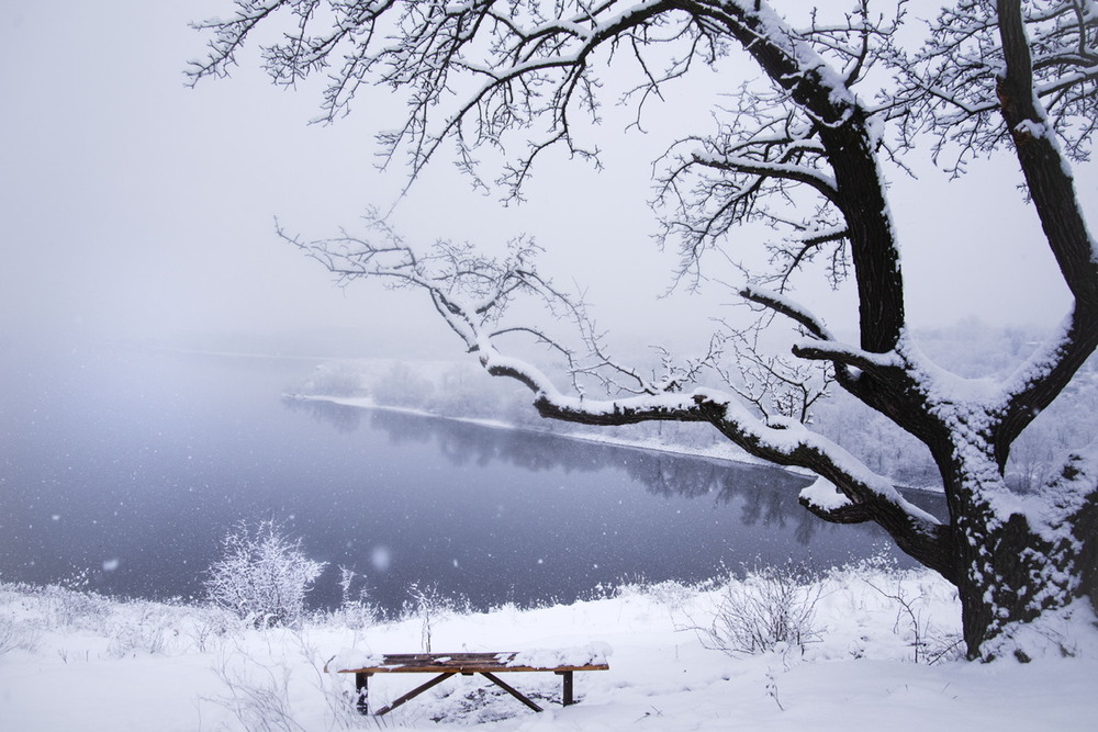 Фотографія самотня лавочка у сніговій ковдрі / Kashalatki / photographers.ua