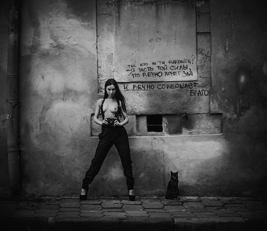 Фотографія Чёрные кошки / Аркадий Курта / photographers.ua