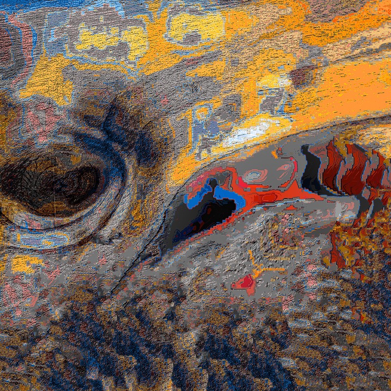 Фотографія BEYOND / Володимир Лобач / photographers.ua